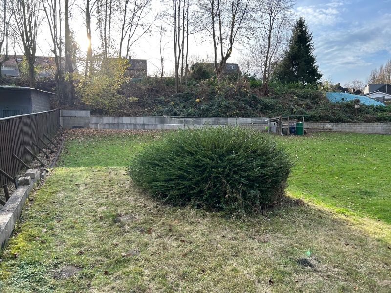 Blick Richtung Straße